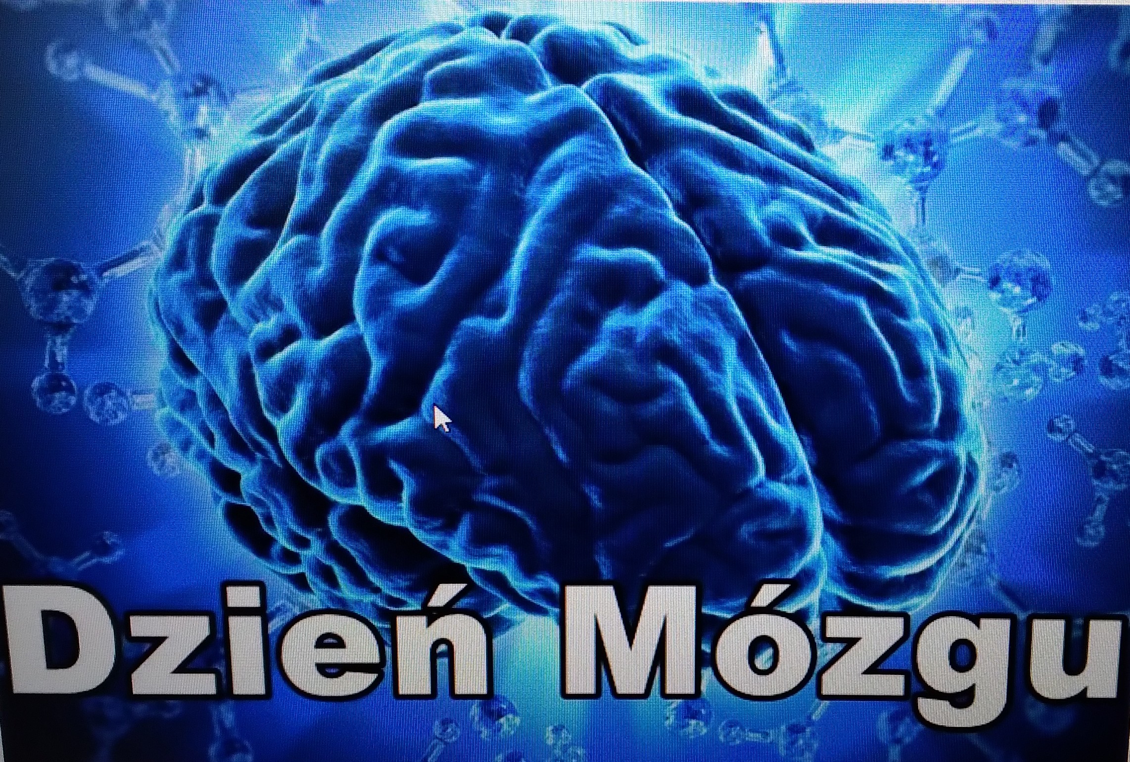 Tydzień mózgu