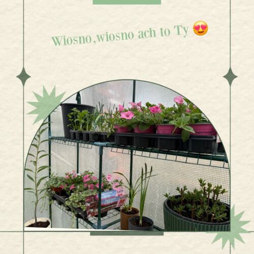 W naszym ogrodzie zawitała wiosna